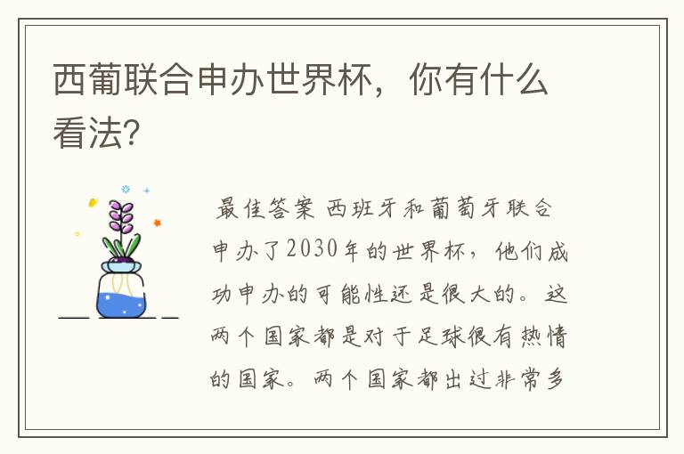 西葡联合申办世界杯,你有什么看法?