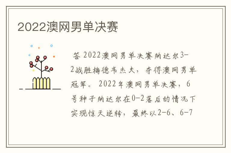 2022澳网男单决赛