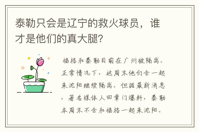 泰勒只会是辽宁的救火球员,谁才是他们的真大腿?