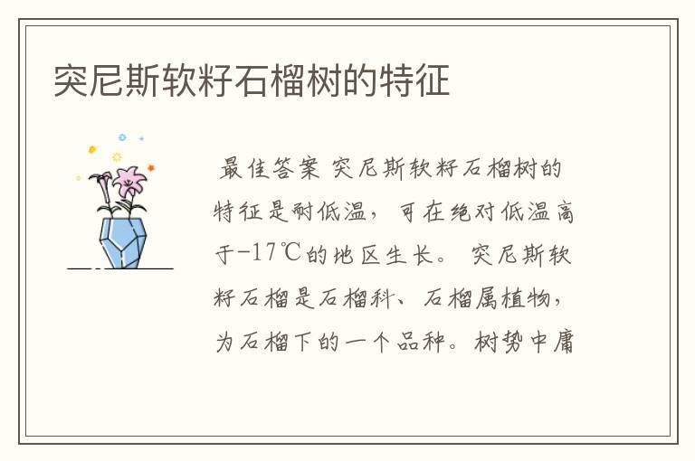 突尼斯软籽石榴树的特征