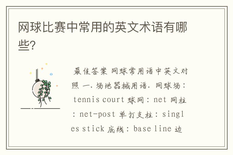 网球比赛中常用的英文术语有哪些?
