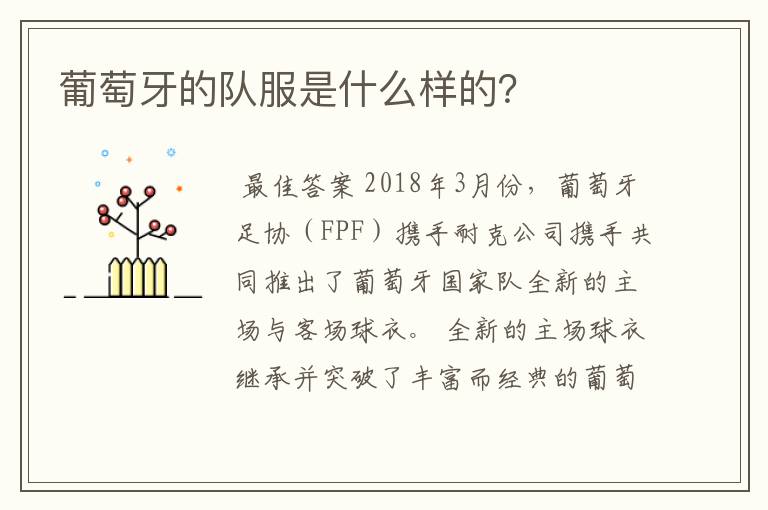 葡萄牙的队服是什么样的?