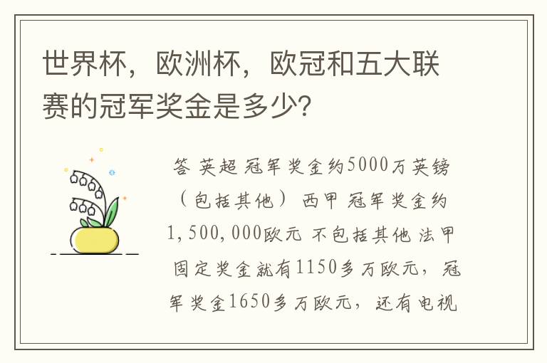 世界杯，欧洲杯，欧冠和五大联赛的冠军奖金是多少？