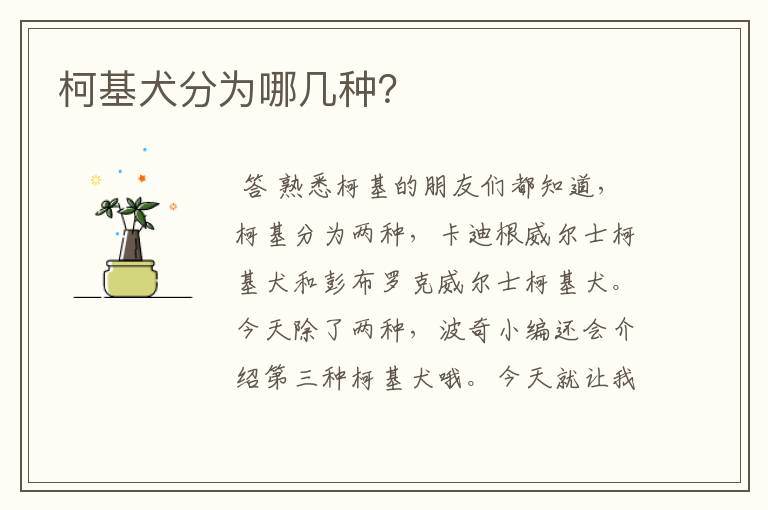 柯基犬分为哪几种?