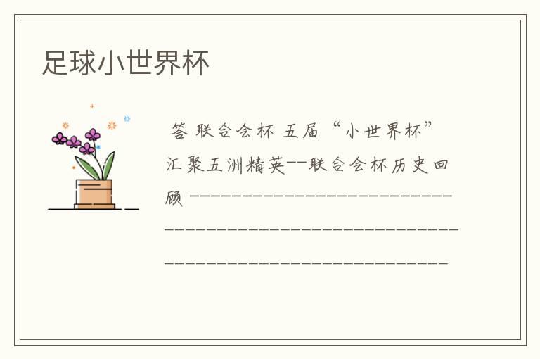 足球小世界杯