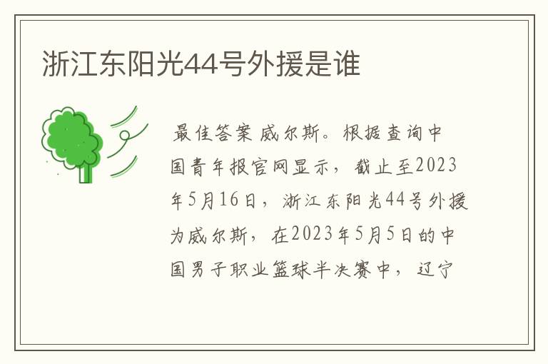 浙江东阳光44号外援是谁