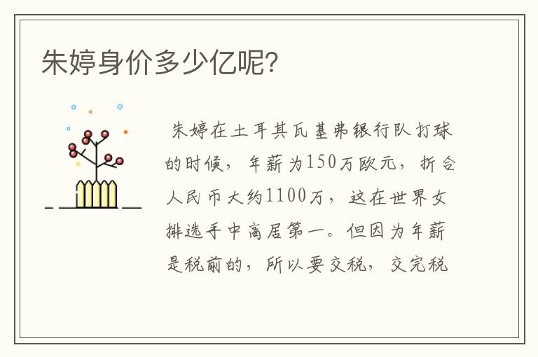 朱婷身价多少亿呢？
