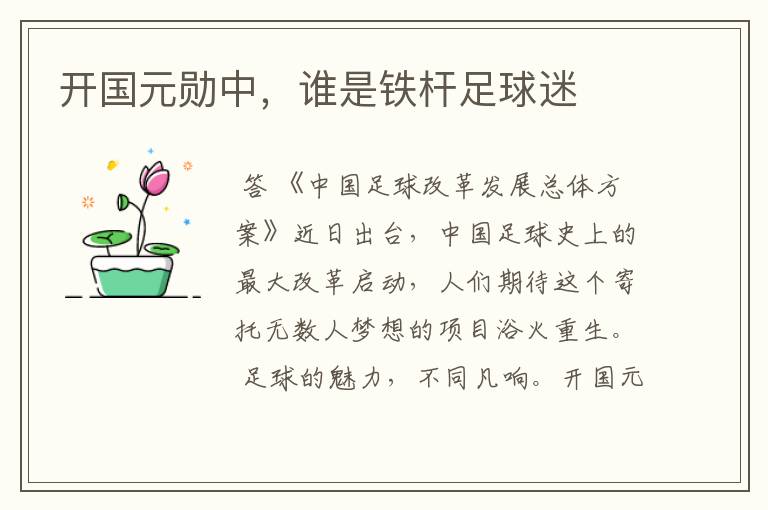开国元勋中,谁是铁杆足球迷