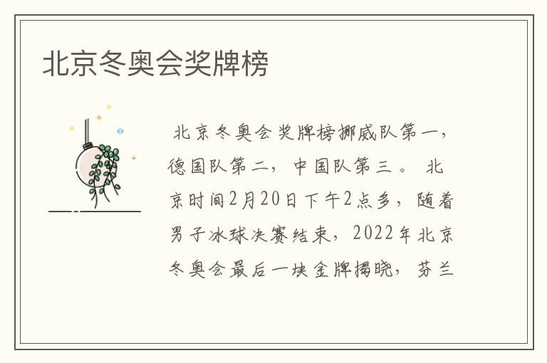 北京冬奥会奖牌榜