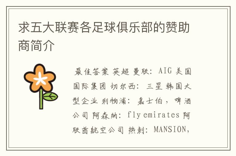 求五大联赛各足球俱乐部的赞助商简介