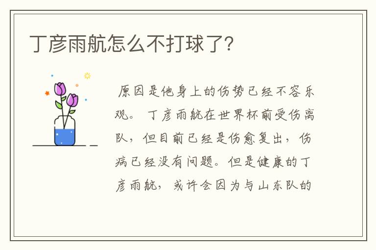 丁彦雨航怎么不打球了?
