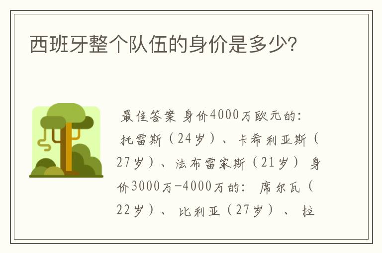 西班牙整个队伍的身价是多少?