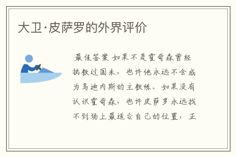 大卫·皮萨罗的外界评价
