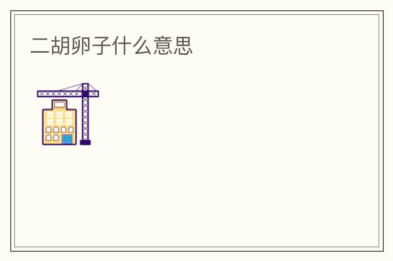 二胡卵子什么意思