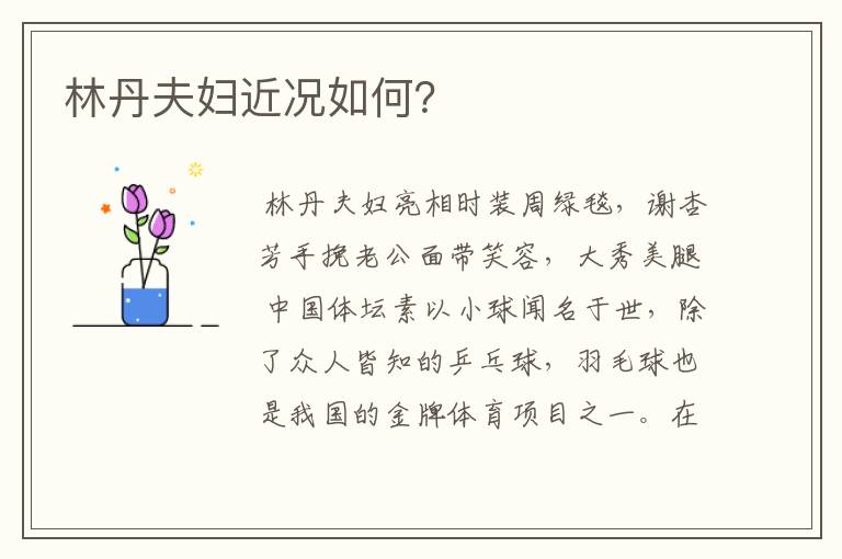 林丹夫妇近况如何?