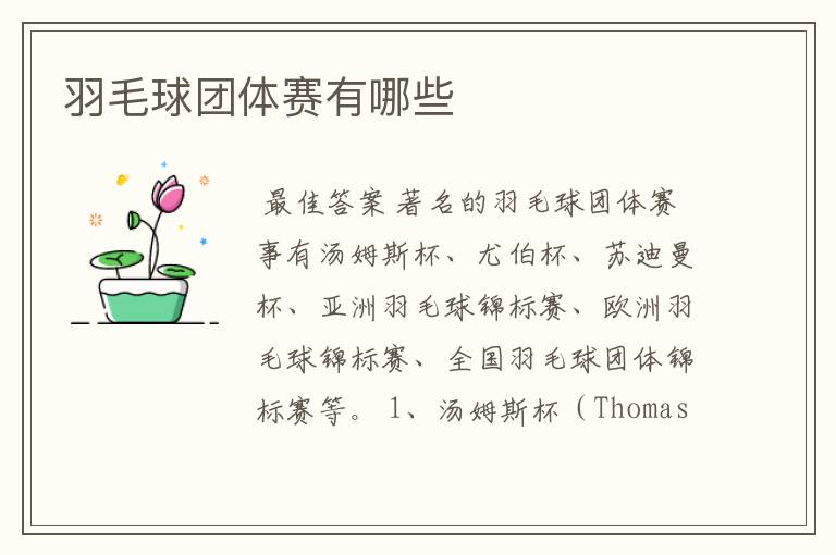 羽毛球团体赛有哪些