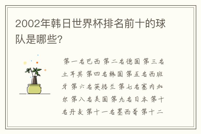 2002年韩日世界杯排名前十的球队是哪些?