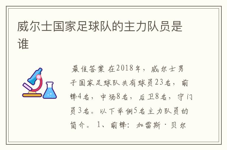 威尔士国家足球队的主力队员是谁