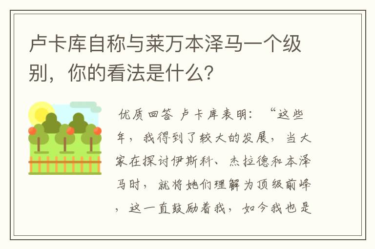 卢卡库自称与莱万本泽马一个级别,你的看法是什么?