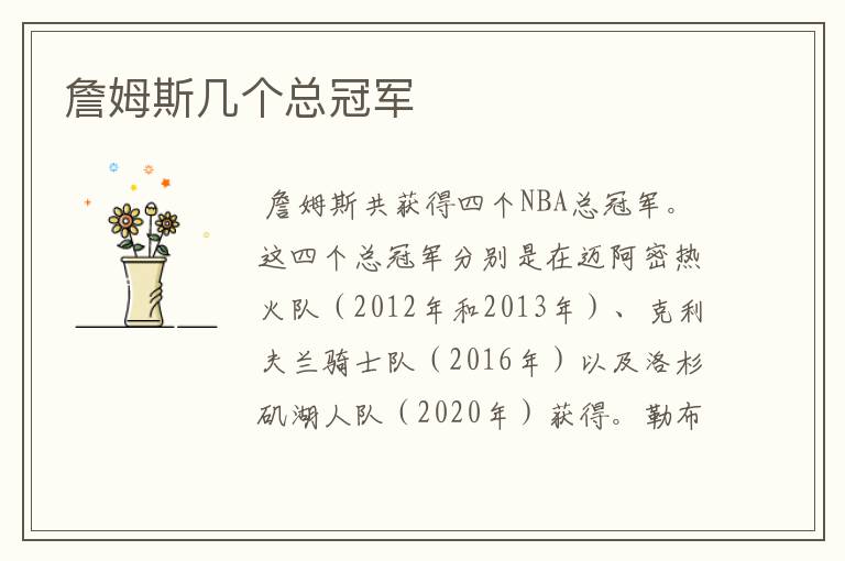 詹姆斯几个总冠军