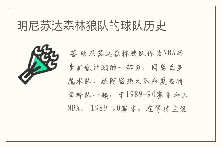明尼苏达森林狼队的球队历史