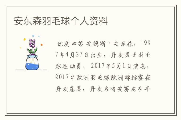 安东森羽毛球个人资料