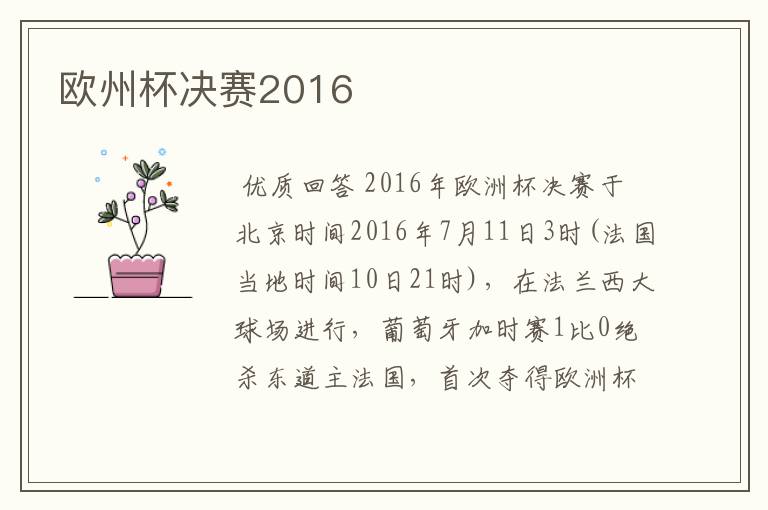 欧州杯决赛2016