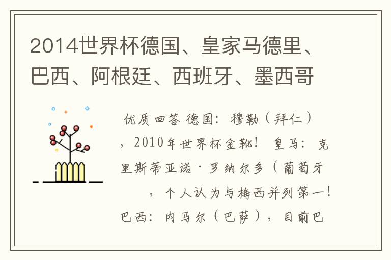 2014世界杯德国、皇家马德里、巴西、阿根廷、西班牙、墨西哥的明星球员和恒大的