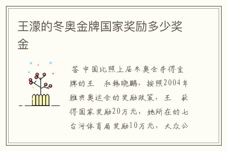 王濛的冬奥金牌国家奖励多少奖金