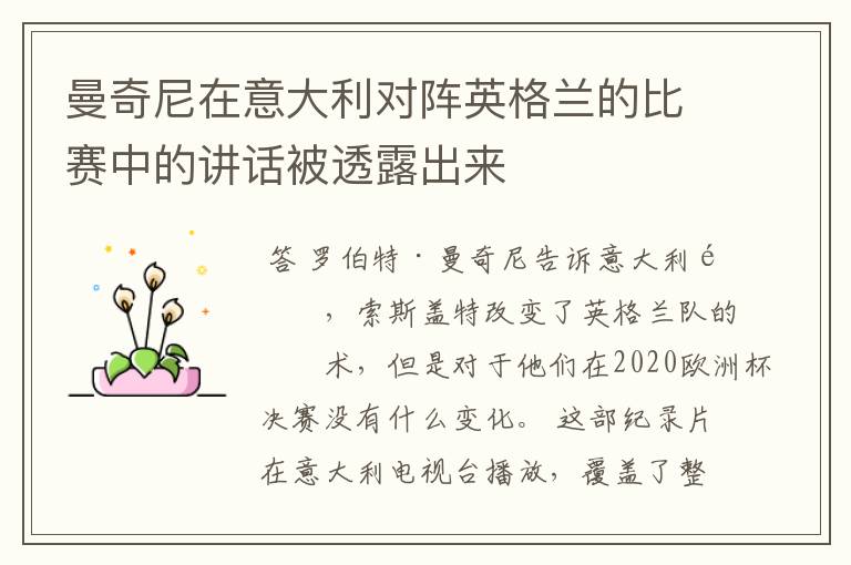 曼奇尼在意大利对阵英格兰的比赛中的讲话被透露出来