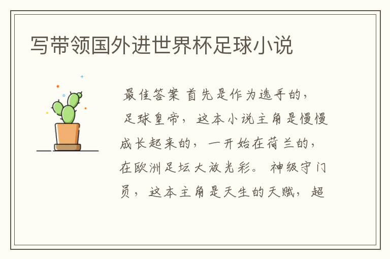 写带领国外进世界杯足球小说