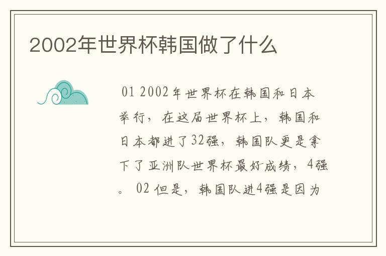 2002年世界杯韩国做了什么