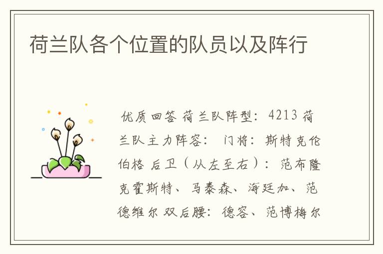 荷兰队各个位置的队员以及阵行