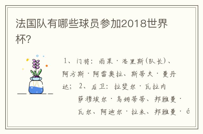法国队有哪些球员参加2018世界杯?