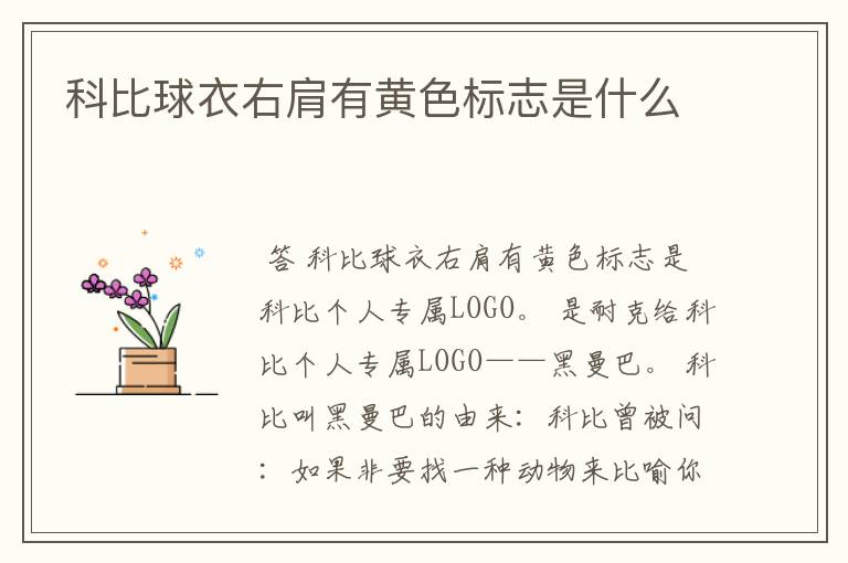 科比球衣右肩有黄色标志是什么