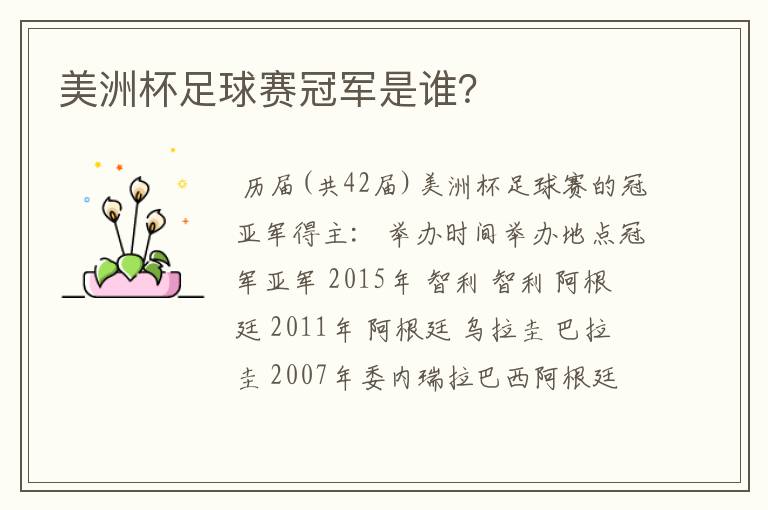 美洲杯足球赛冠军是谁?