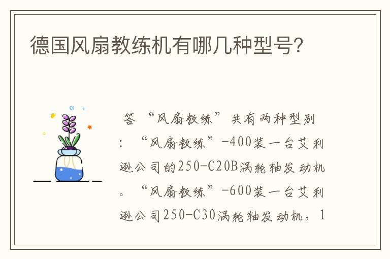 德国风扇教练机有哪几种型号?