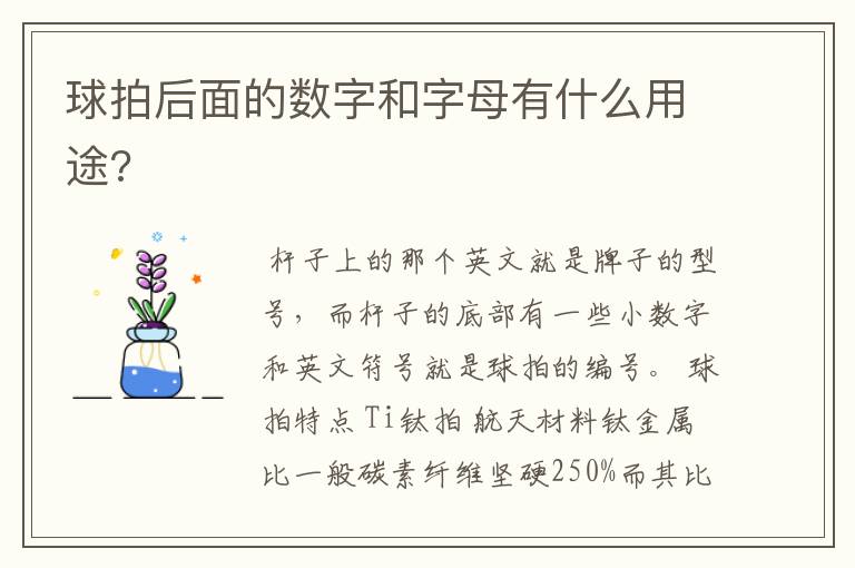 球拍后面的数字和字母有什么用途?
