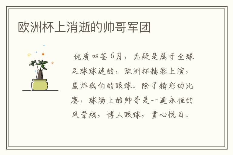 欧洲杯上消逝的帅哥军团