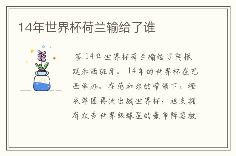 14年世界杯荷兰输给了谁