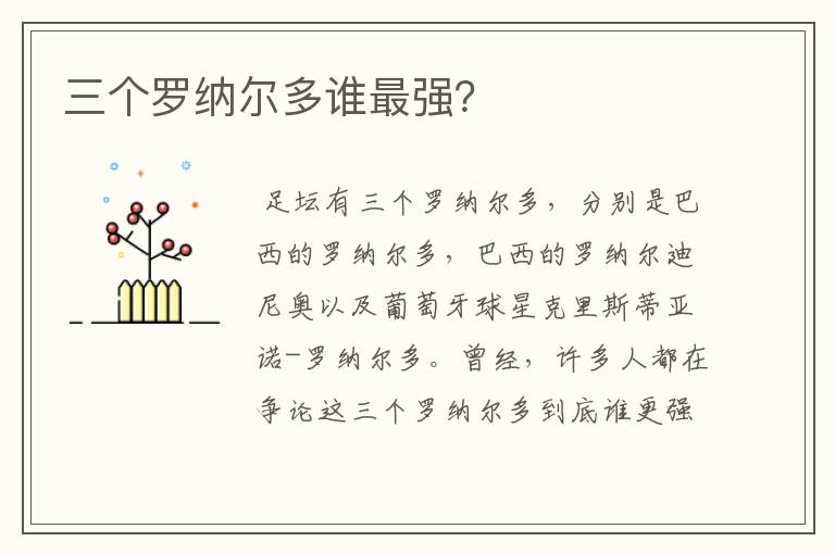 三个罗纳尔多谁最强?
