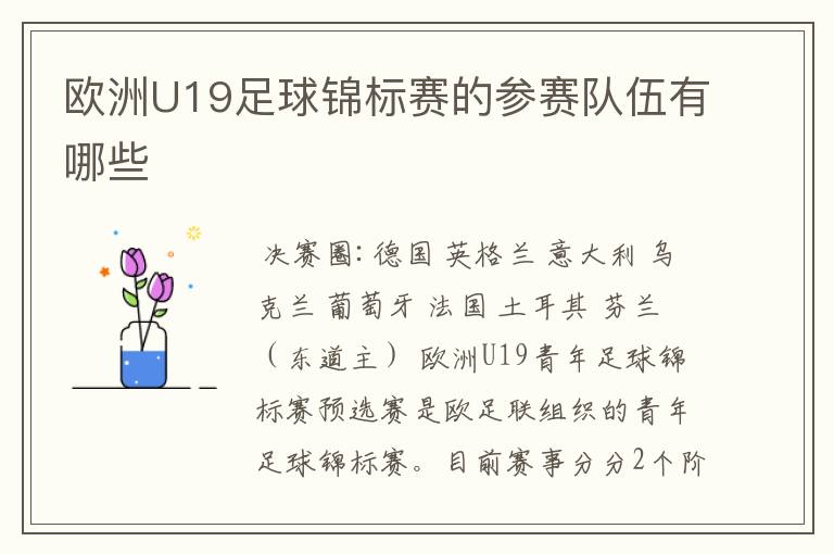 欧洲U19足球锦标赛的参赛队伍有哪些