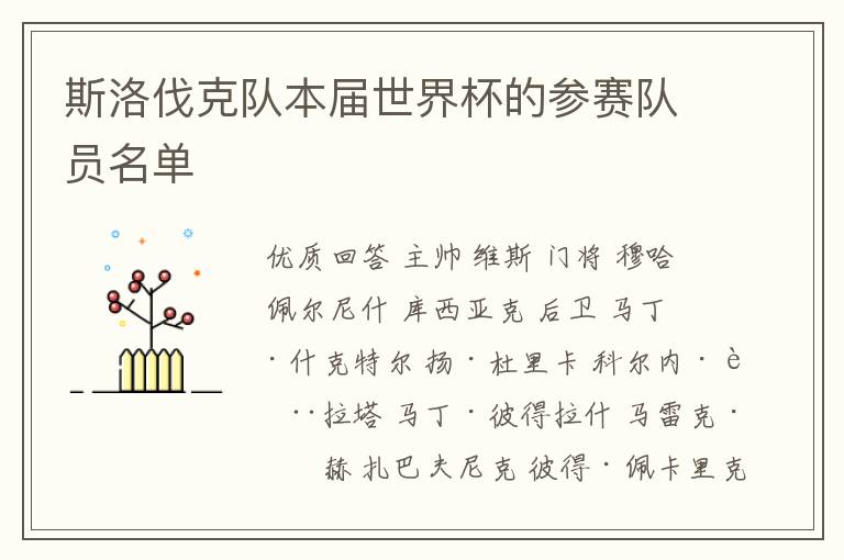 斯洛伐克队本届世界杯的参赛队员名单
