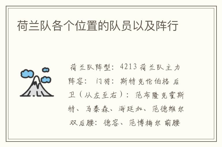荷兰队各个位置的队员以及阵行