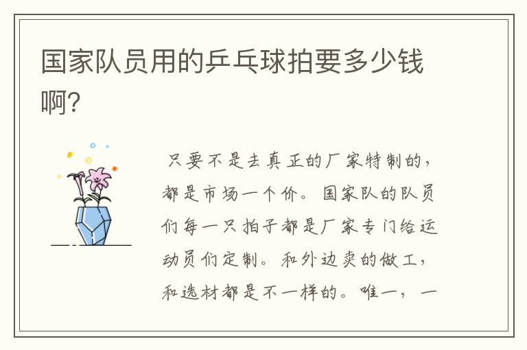 国家队员用的乒乓球拍要多少钱啊?