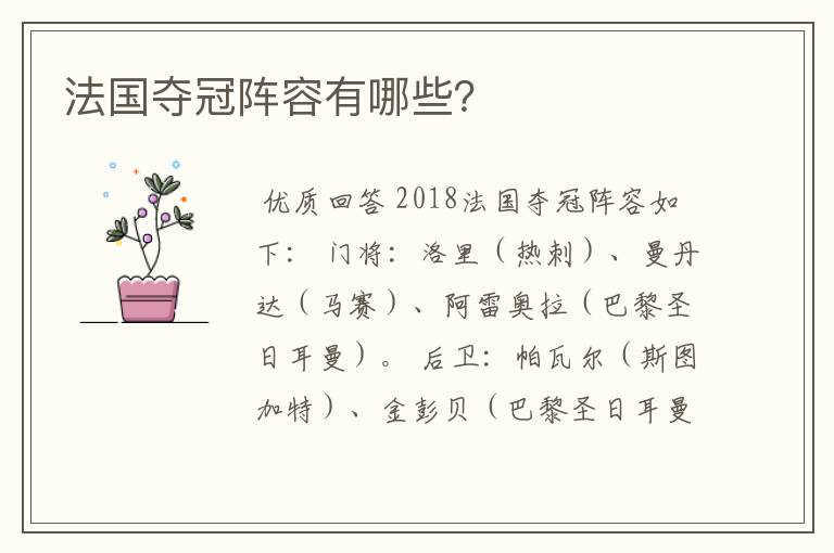 法国夺冠阵容有哪些?
