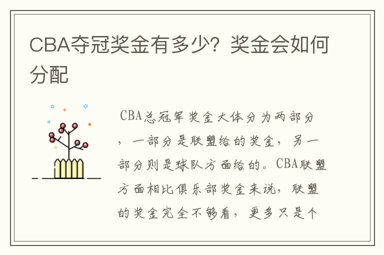 CBA夺冠奖金有多少?奖金会如何分配