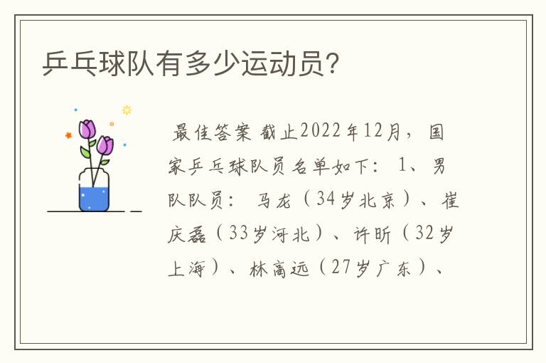 乒乓球队有多少运动员?