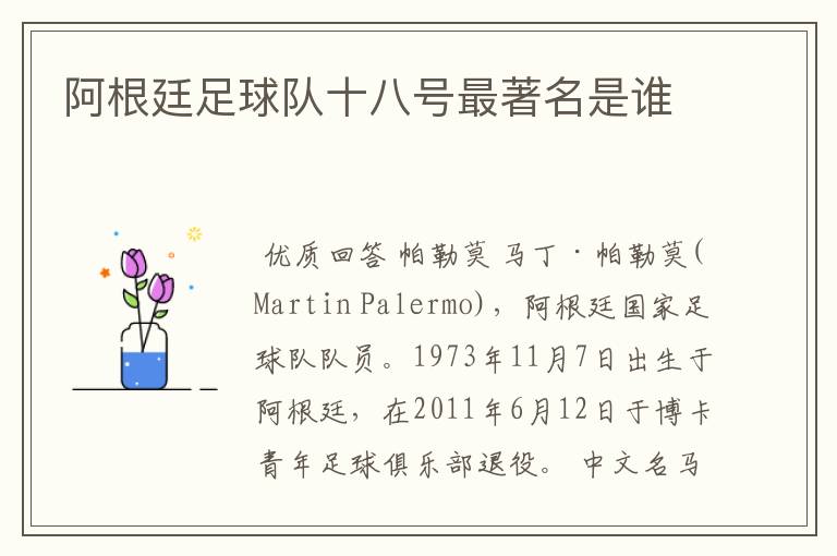 阿根廷足球队十八号最著名是谁