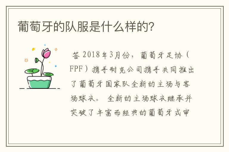 葡萄牙的队服是什么样的?